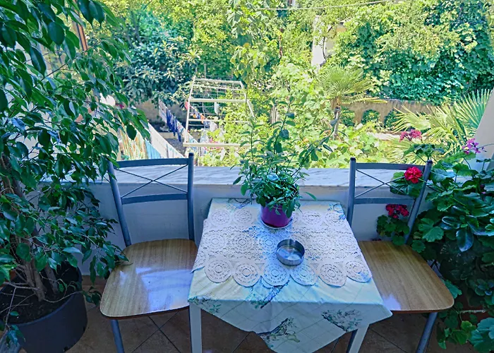 بيت ضيافة My