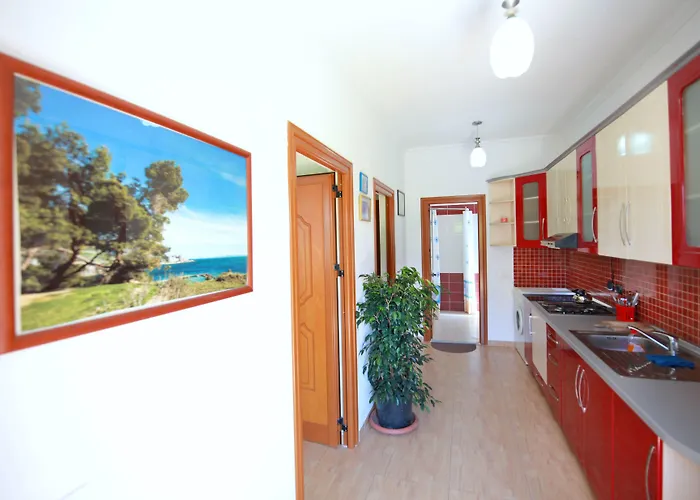 بيت ضيافة My دراس